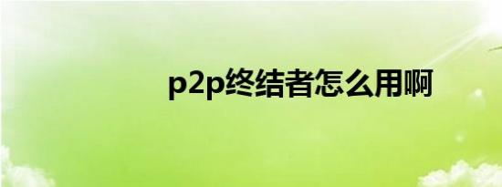 p2p终结者怎么用啊