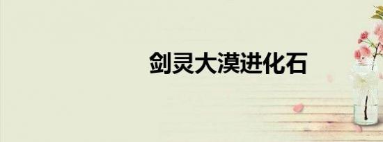 剑灵大漠进化石
