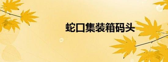 蛇口集装箱码头