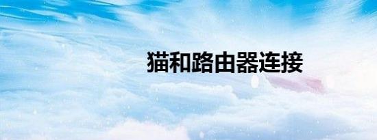 猫和路由器连接