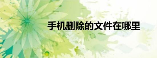 手机删除的文件在哪里