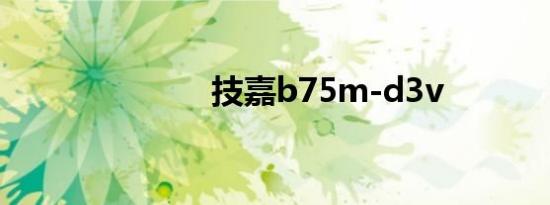 技嘉b75m-d3v