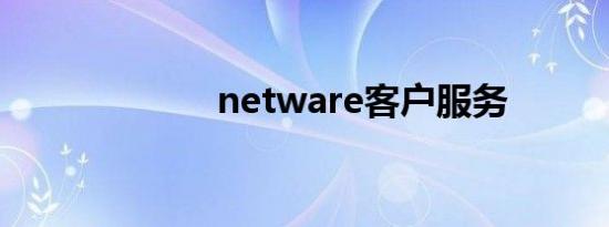 netware客户服务