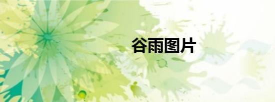 谷雨图片