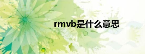 rmvb是什么意思