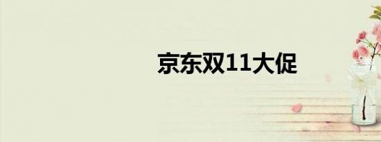 京东双11大促