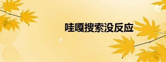 哇嘎搜索没反应
