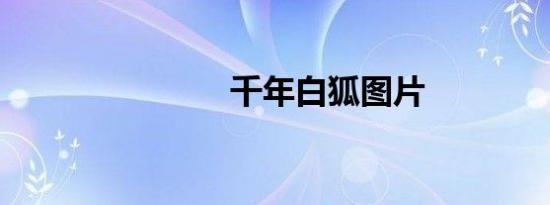千年白狐图片