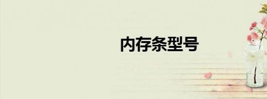 内存条型号