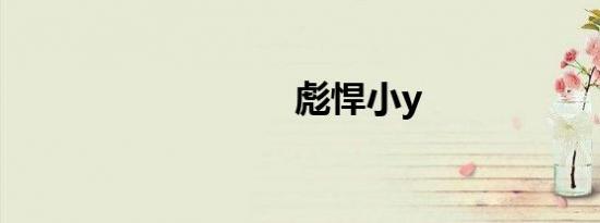 彪悍小y