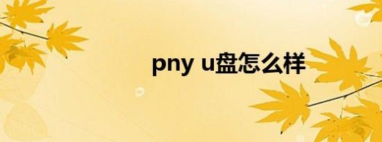 pny u盘怎么样