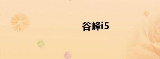 谷峰i5