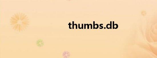 thumbs.db