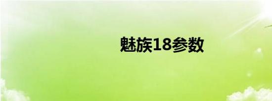 魅族18参数